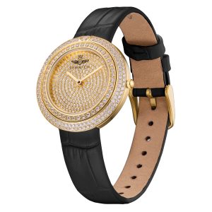 Alternative view of SRWATCH SL5011.6102BL